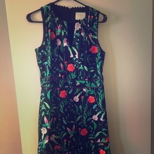 Kate Spafe Hummingbird Dresd